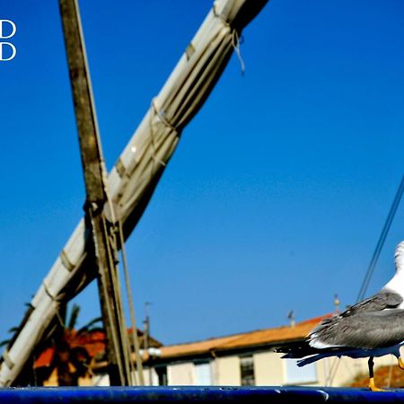 Le Flamant Le Grau-du-Roi Extérieur photo
